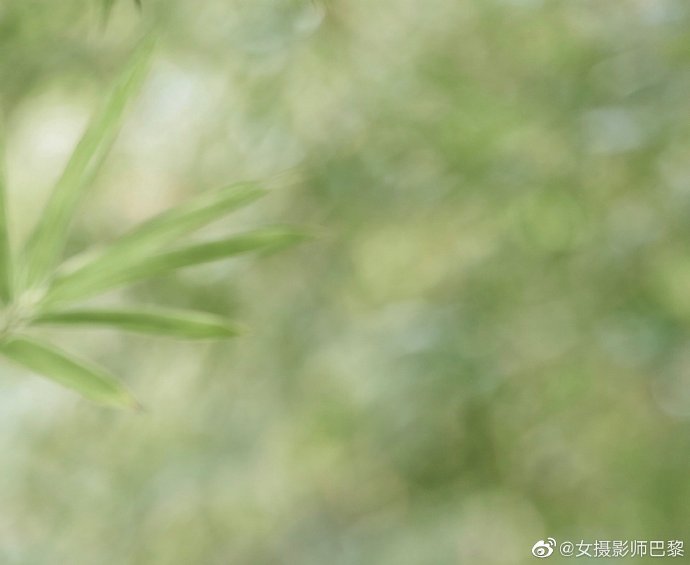 《百花杀》副CP爆火，孟子义何与配角逆袭，粉丝昵称“百密一疏”